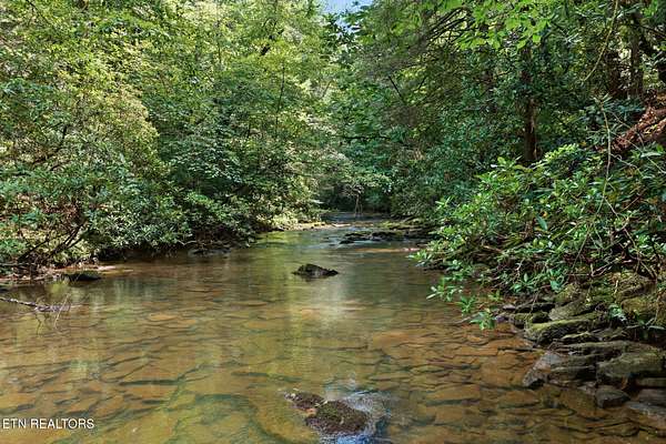 15 Acres of Recreational & Residential Land for Sale in Deer Lodge, Tennessee