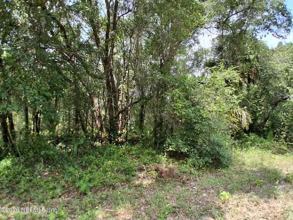 0.22 Acres of Residential Land for Sale in Interlachen, Florida