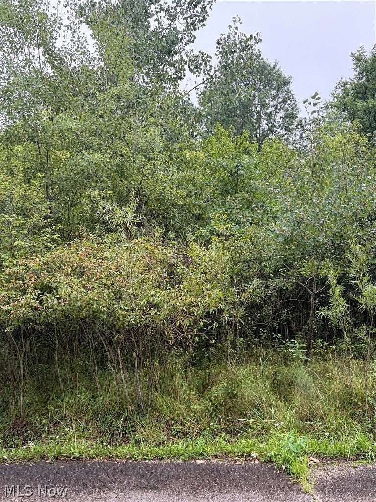 5 Acres of Land for Sale in Youngstown, Ohio