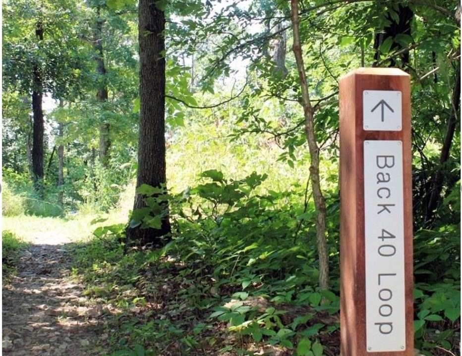 0.31 Acres of Residential Land for Sale in Bella Vista, Arkansas