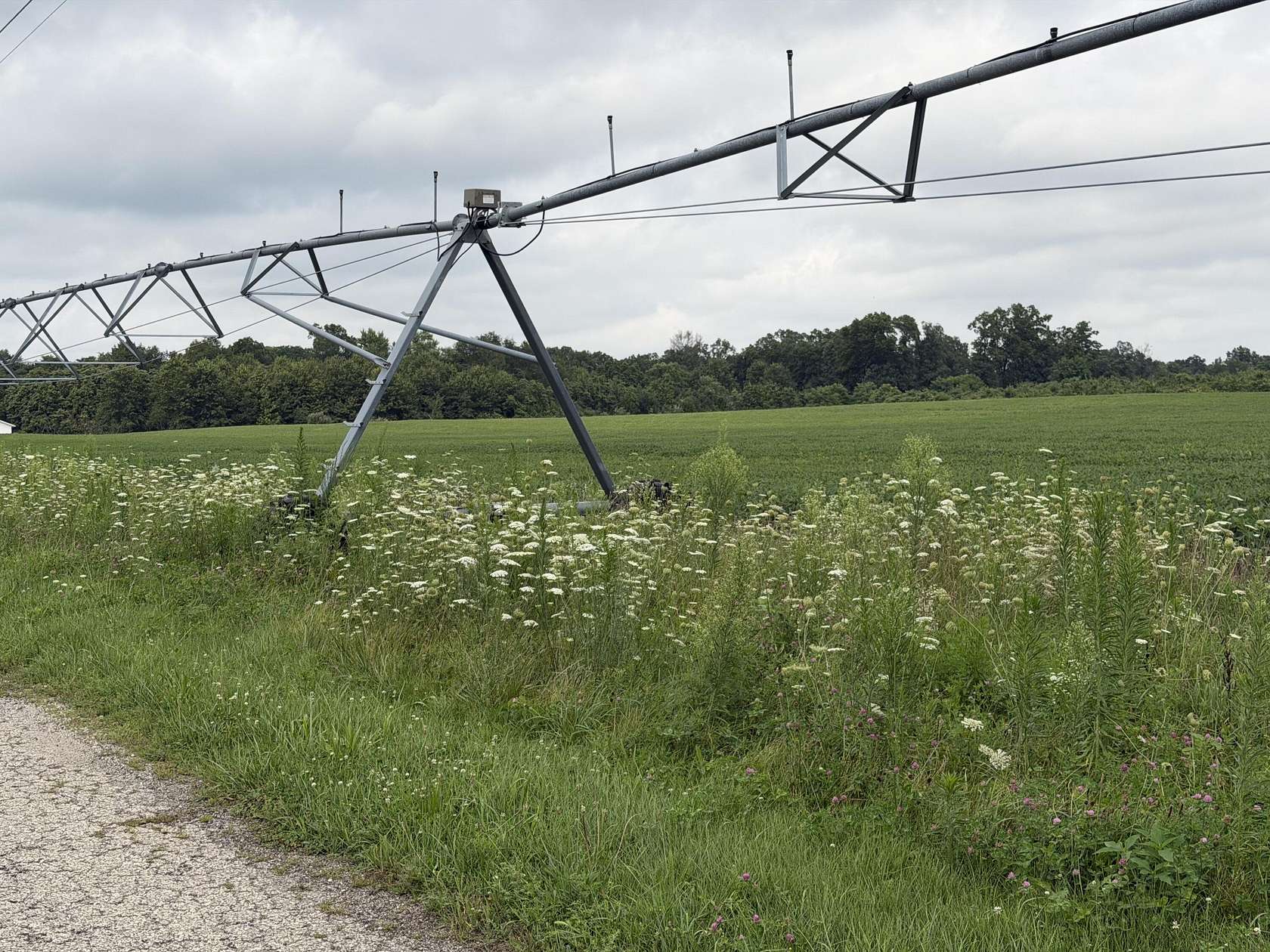 49.3 Acres of Land for Sale in Grovertown, Indiana