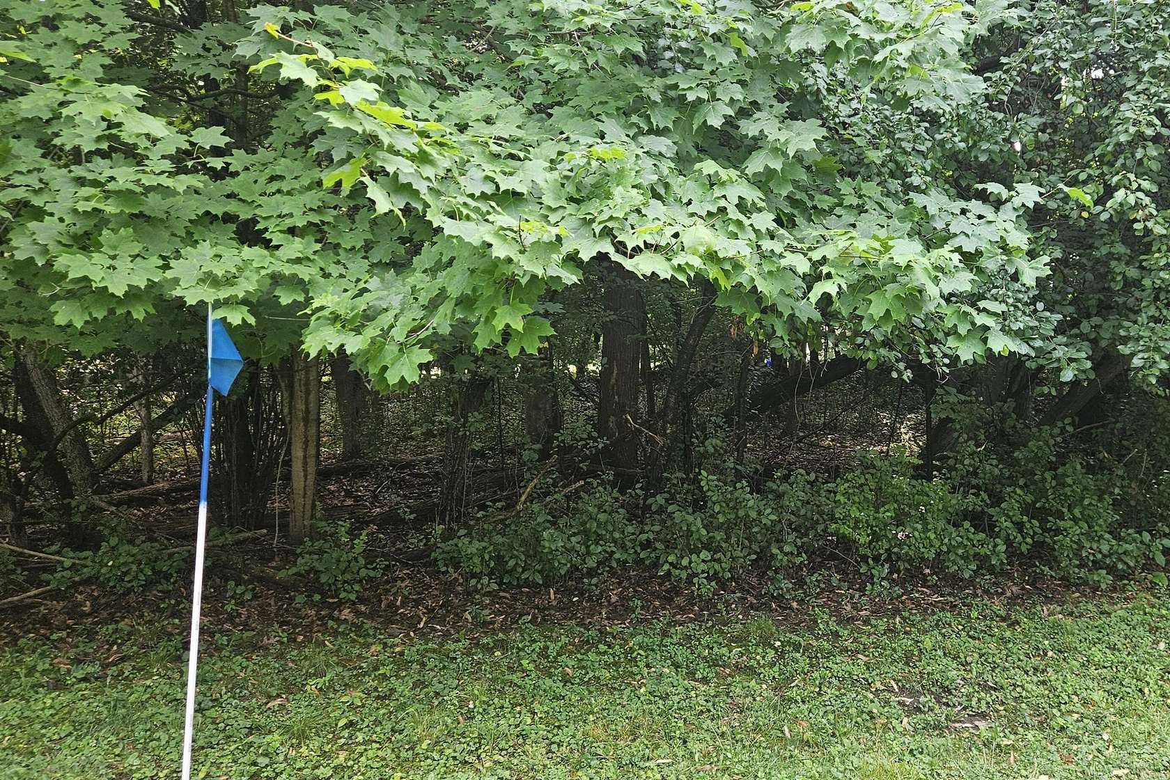 0.36 Acres of Residential Land for Sale in Greenfield, Wisconsin