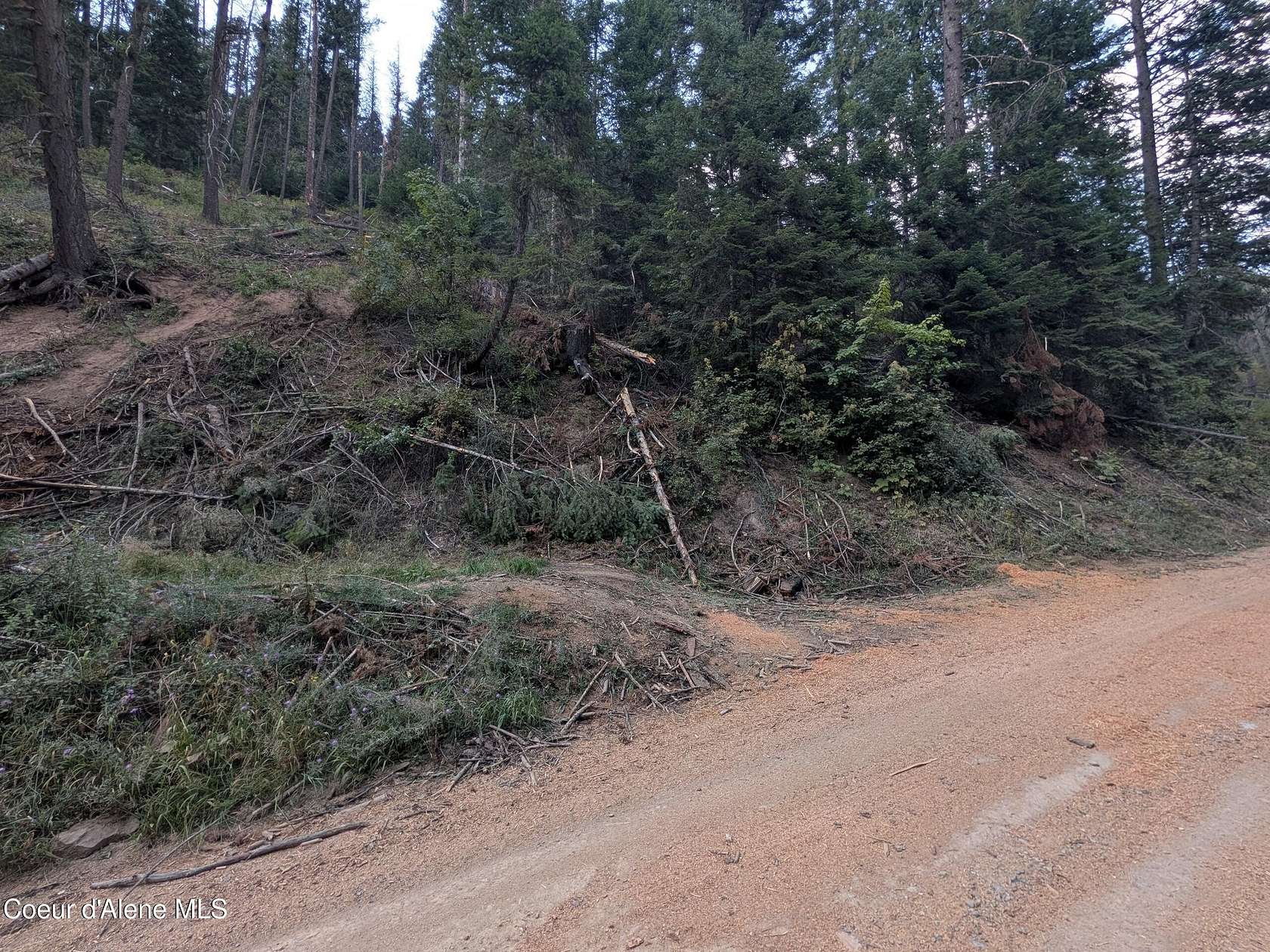 20 Acres of Land for Sale in Mullan, Idaho