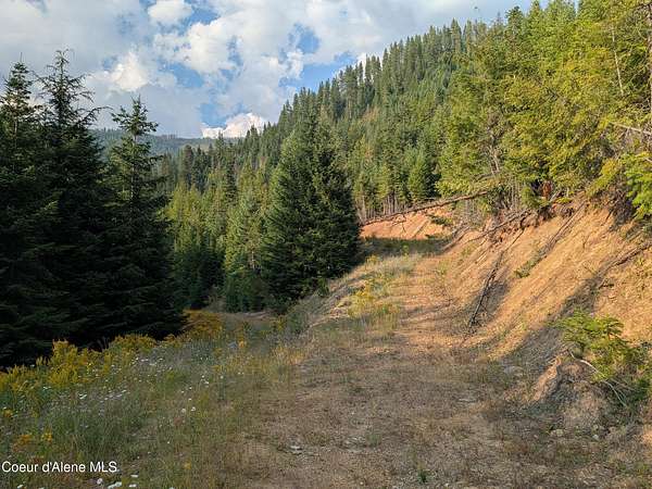 20 Acres of Land for Sale in Mullan, Idaho