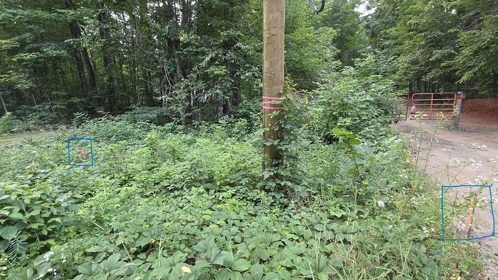 4.13 Acres of Land for Sale in Vanderbilt, Michigan