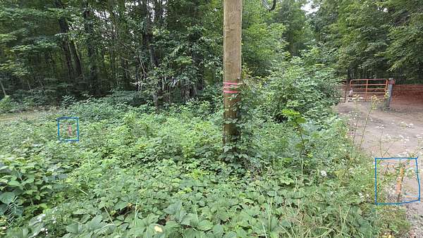 4.13 Acres of Land for Sale in Vanderbilt, Michigan