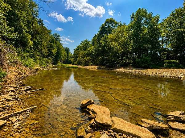 84.2 Acres of Land for Sale in Edmonton, Kentucky