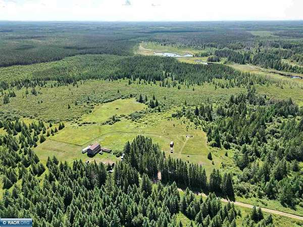 81.8 Acres of Recreational & Residential Land for Sale in Cook, Minnesota