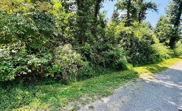 0.11 Acres of Land for Sale in Buchanan, Tennessee