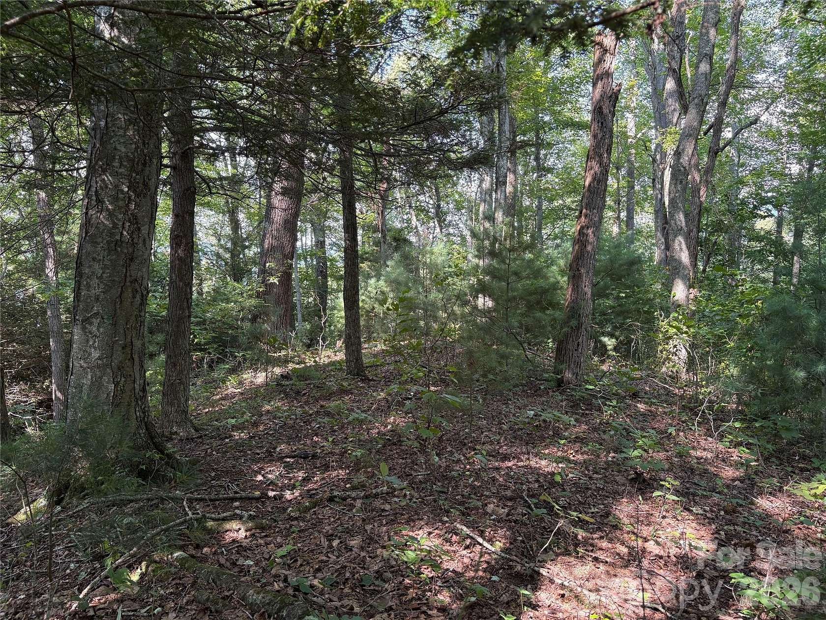 3.73 Acres of Residential Land for Sale in Waynesville, North Carolina