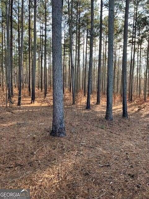 612 Acres of Recreational Land for Sale in Rayle, Georgia