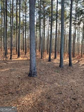 612 Acres of Recreational Land for Sale in Rayle, Georgia