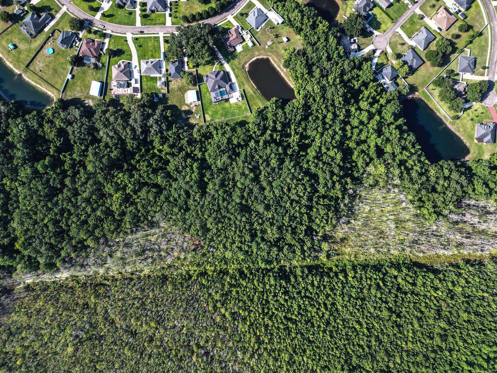 22.4 Acres of Recreational & Residential Land for Sale in Jacksonville, Florida