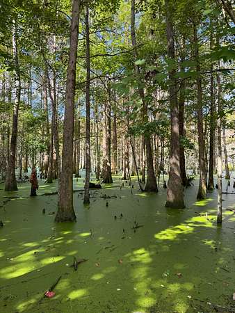 2.22 Acres of Land for Sale in Jacksonville, Florida