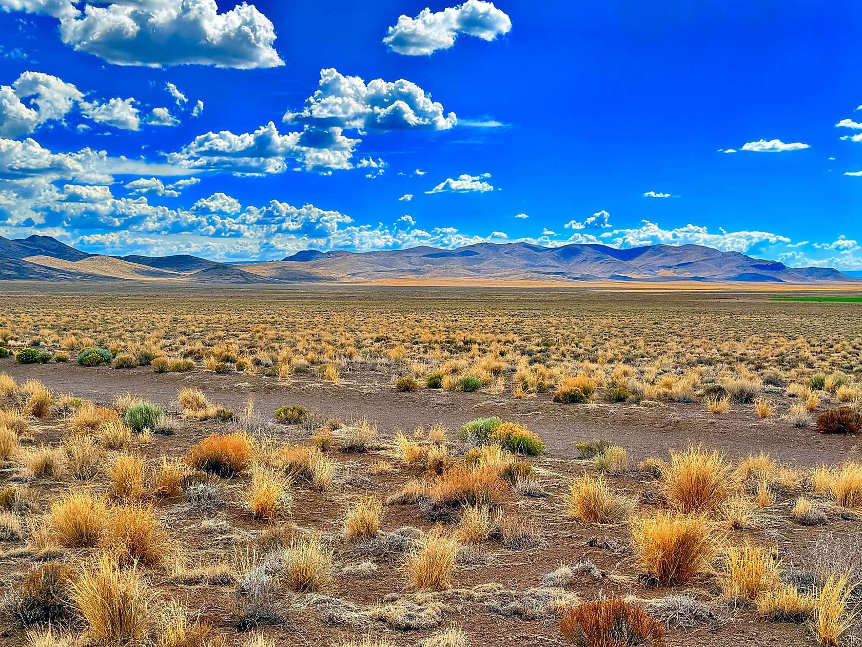 5 Acres of Residential Land for Sale in San Luis, Colorado