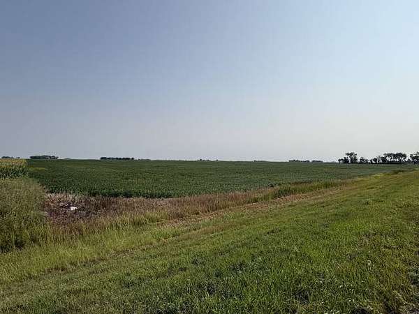 160 Acres of Agricultural Land for Sale in Shelly, Minnesota