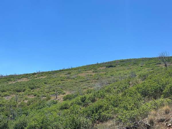 2 Acres of Land for Sale in Indianola, Utah