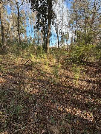 0.57 Acres of Residential Land for Sale in Jacksonville, Florida