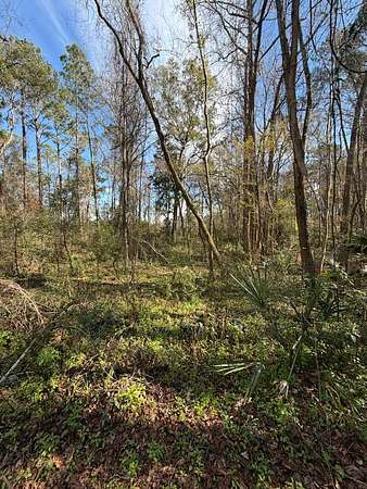 0.57 Acres of Residential Land for Sale in Jacksonville, Florida
