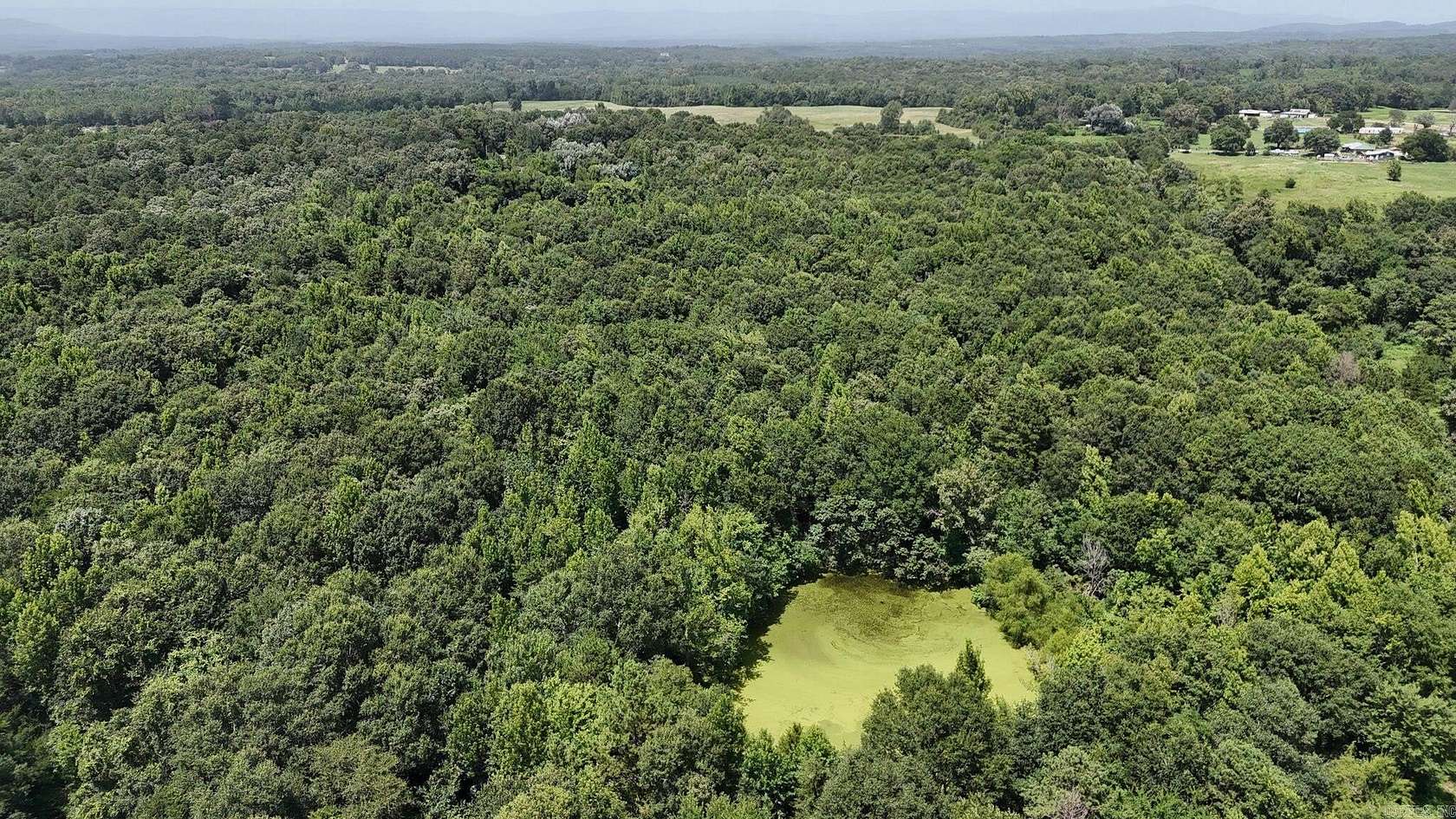 28.7 Acres of Recreational Land for Sale in Hatfield, Arkansas
