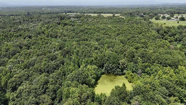 28.7 Acres of Recreational Land for Sale in Hatfield, Arkansas