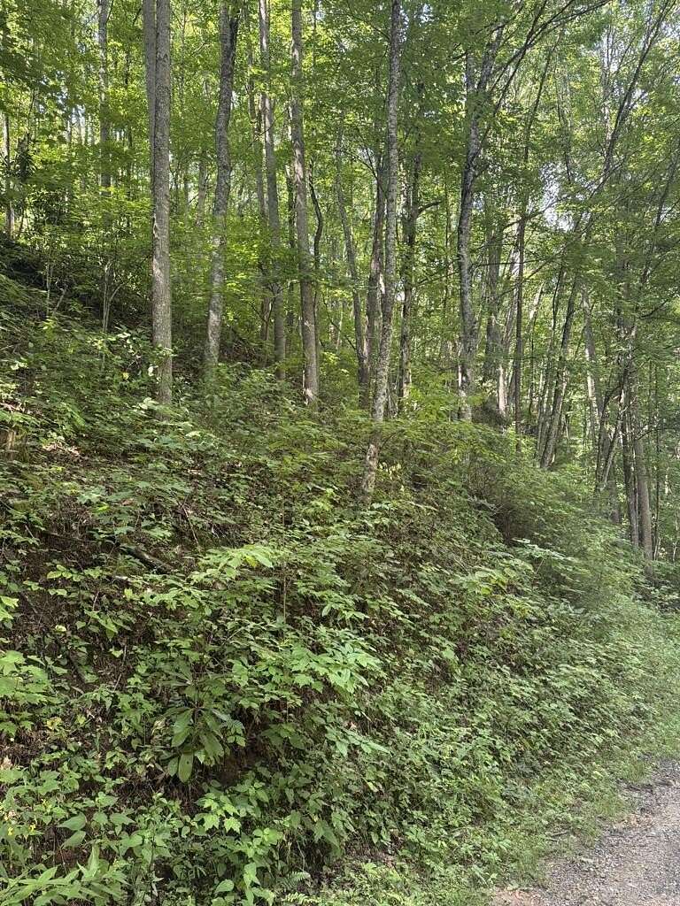 1.7 Acres of Land for Sale in Whittier, North Carolina