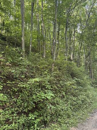 1.7 Acres of Land for Sale in Whittier, North Carolina