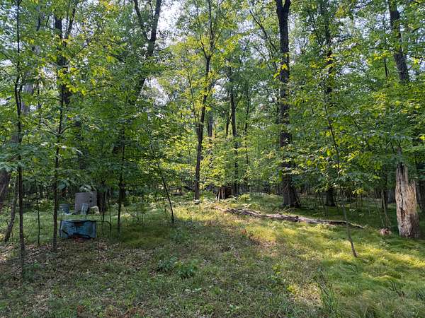 3.24 Acres of Agricultural Land for Sale in Willow River, Minnesota