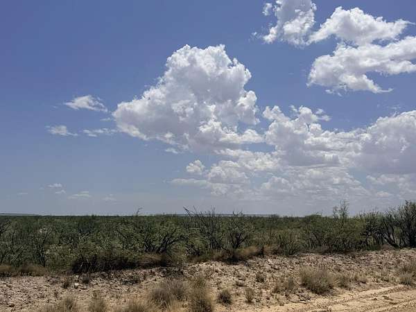 55.8 Acres of Land for Sale in Fort Stockton, Texas