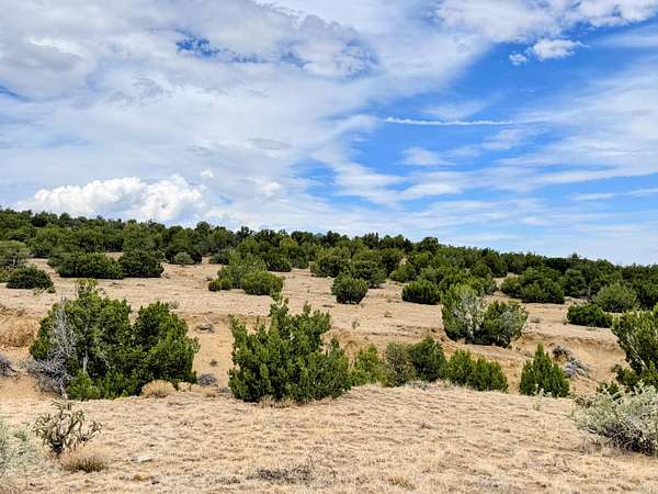 4 Acres of Land for Sale in Walsenburg, Colorado