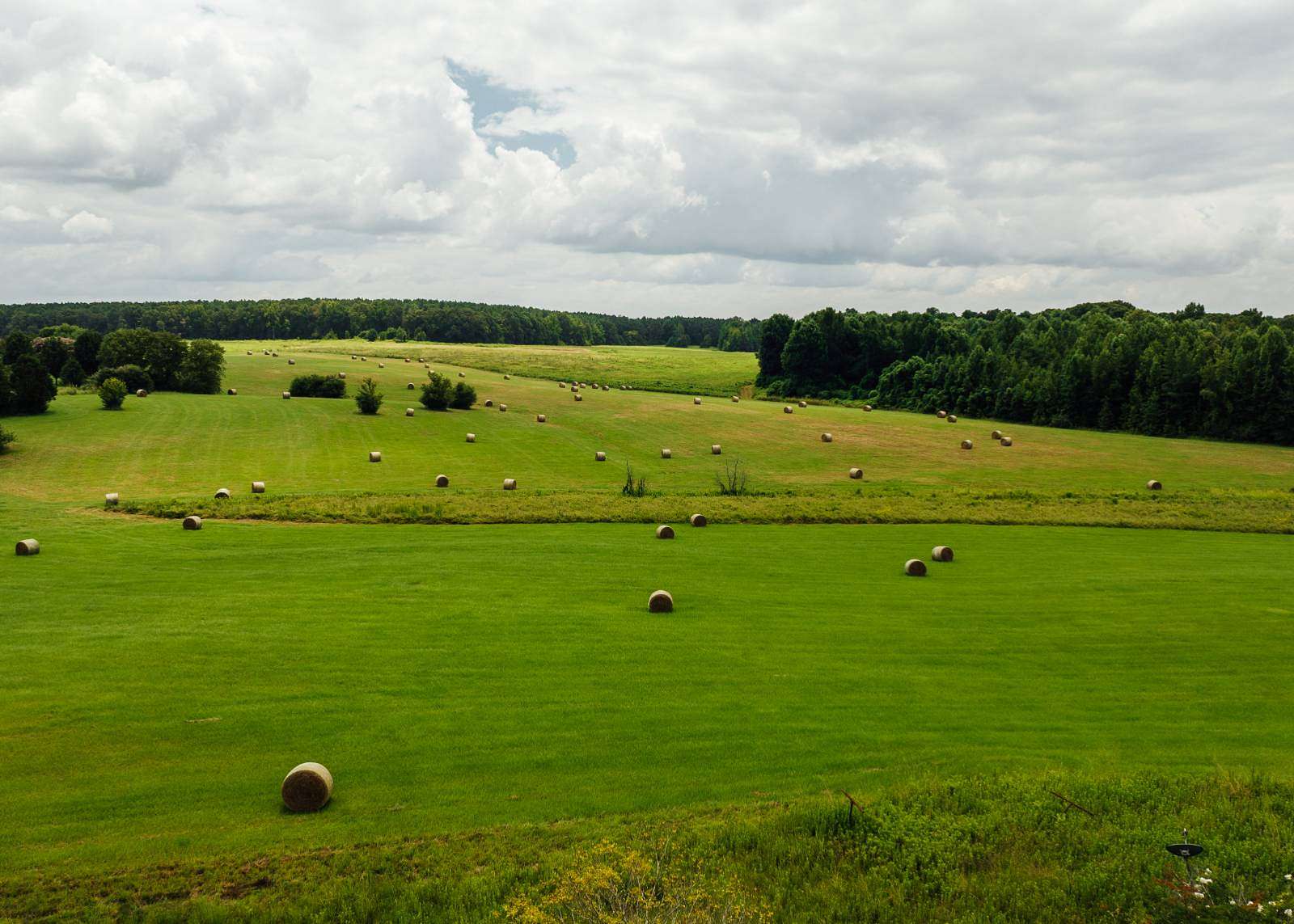 352 Acres of Land for Sale in Louisville, Mississippi