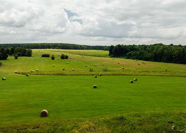 352 Acres of Land for Sale in Louisville, Mississippi