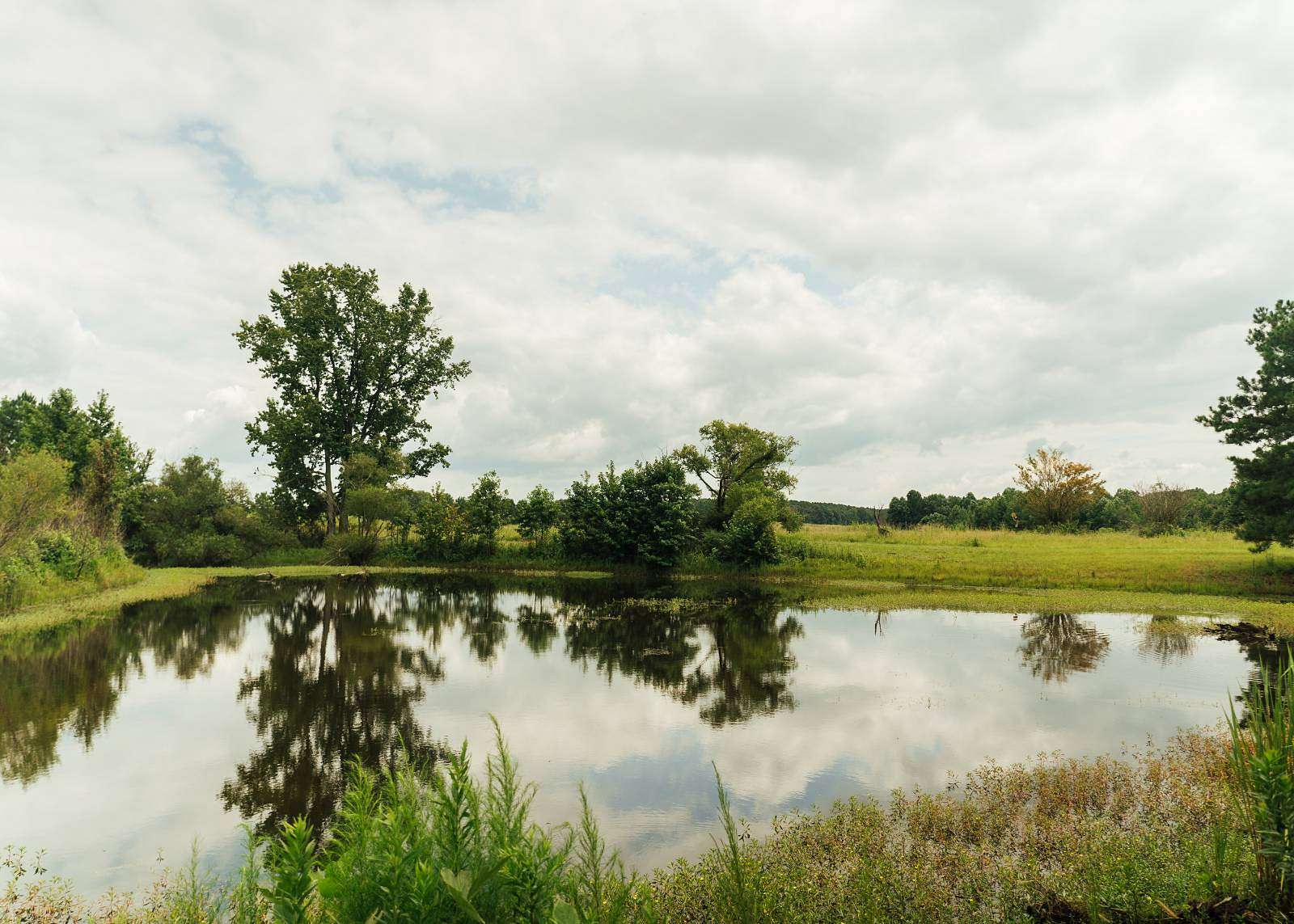 110 Acres of Land for Sale in Louisville, Mississippi