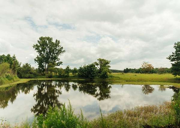 110 Acres of Land for Sale in Louisville, Mississippi