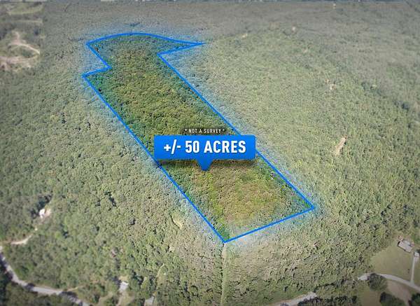 50 Acres of Land for Sale in Guntown, Mississippi