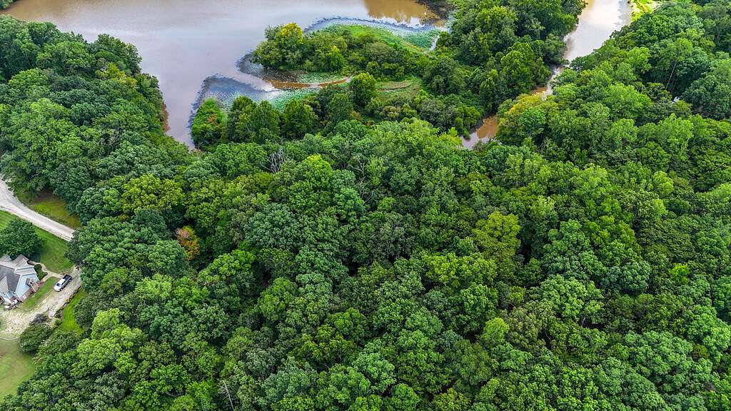 2.6 Acres of Residential Land for Sale in Bullock, North Carolina