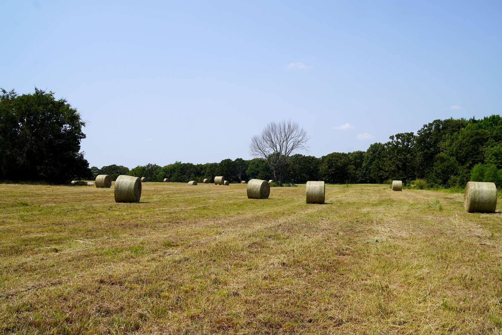 30 Acres of Land for Auction in Paden, Oklahoma