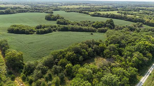 120 Acres of Land for Sale in Braymer, Missouri