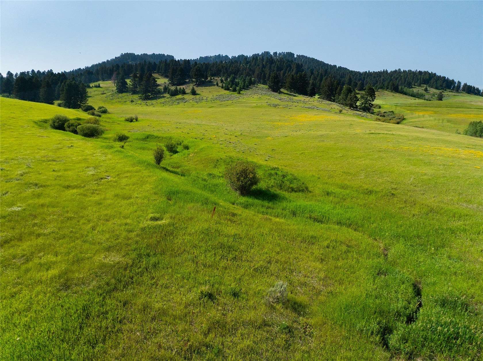 Residential Land for Sale in Bozeman, Montana