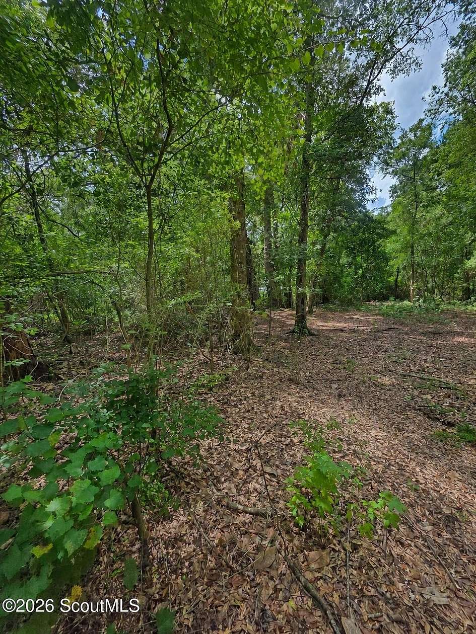 0.33 Acres of Land for Sale in Waynesville, Georgia
