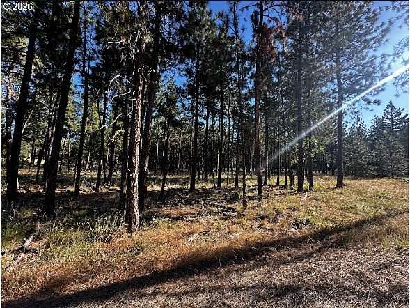 6 Acres of Residential Land for Sale in Goldendale, Washington