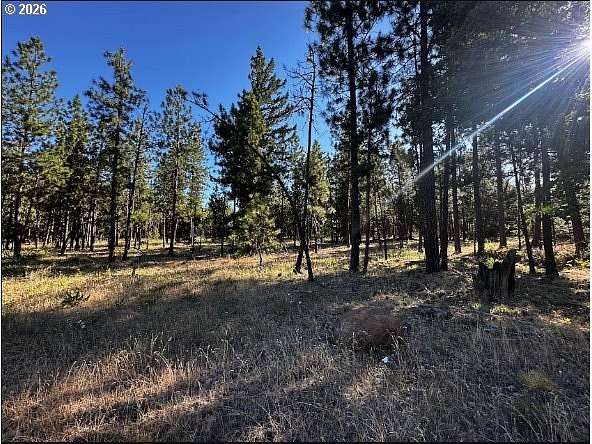 6 Acres of Residential Land for Sale in Goldendale, Washington
