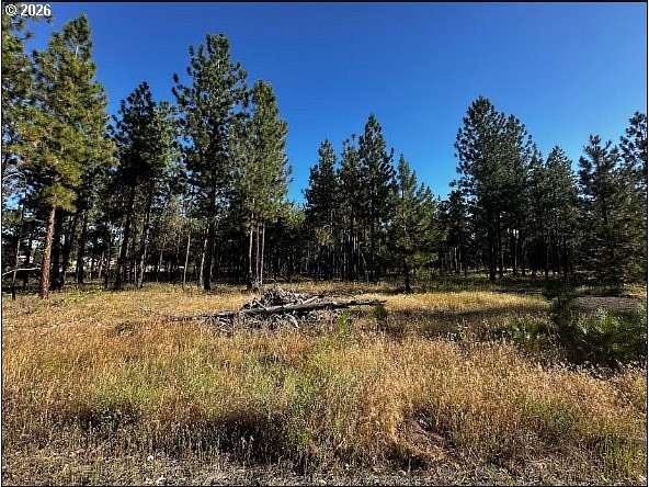 15 Acres of Land for Sale in Goldendale, Washington