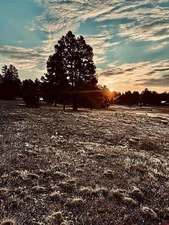 0.26 Acres of Land for Sale in Pagosa Springs, Colorado