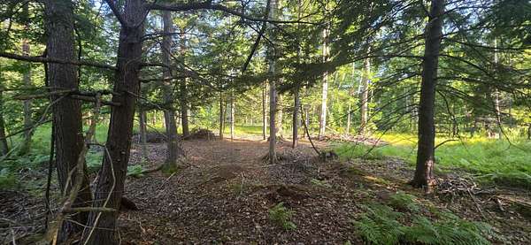 10 Acres of Recreational Land for Sale in Free Soil, Michigan