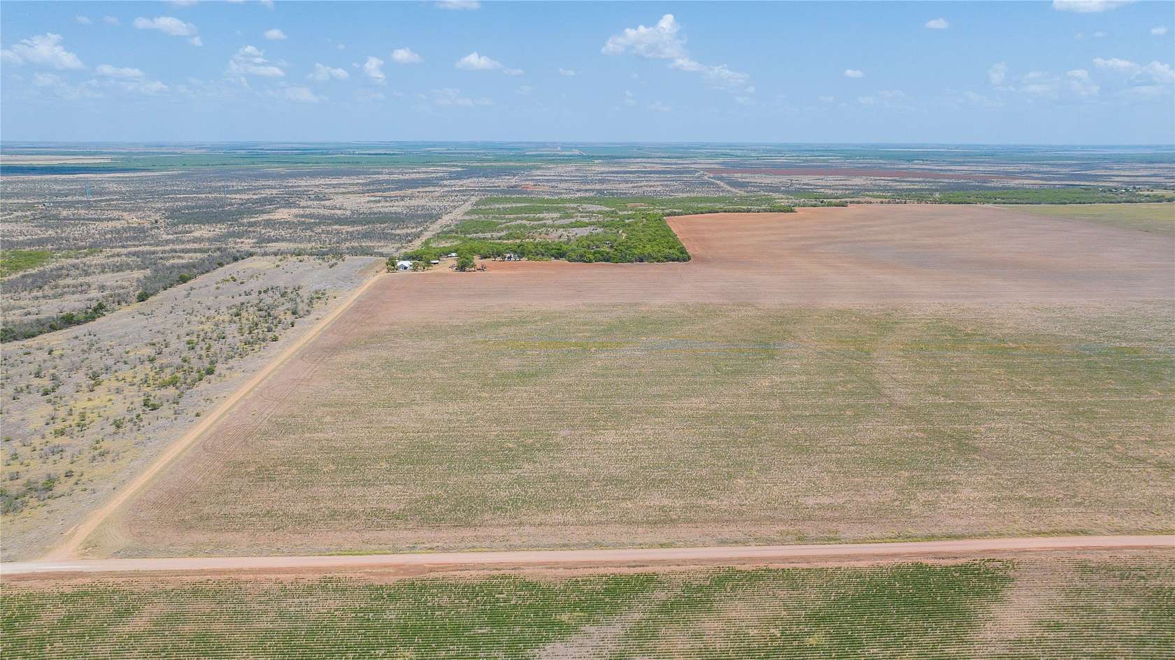 421 Acres of Land for Sale in Avoca, Texas