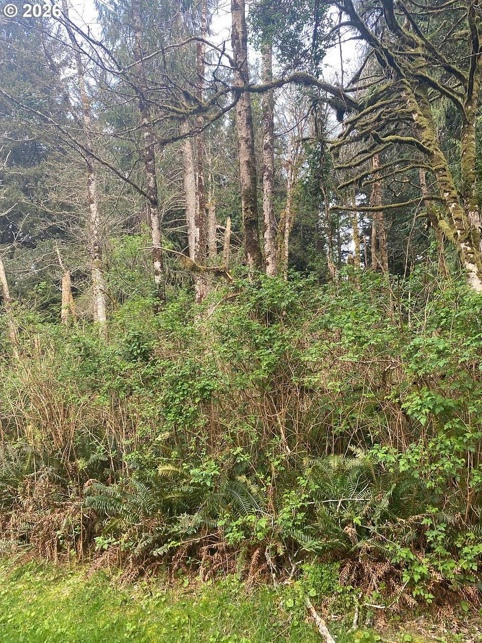 0.14 Acres of Residential Land for Sale in Lincoln City, Oregon