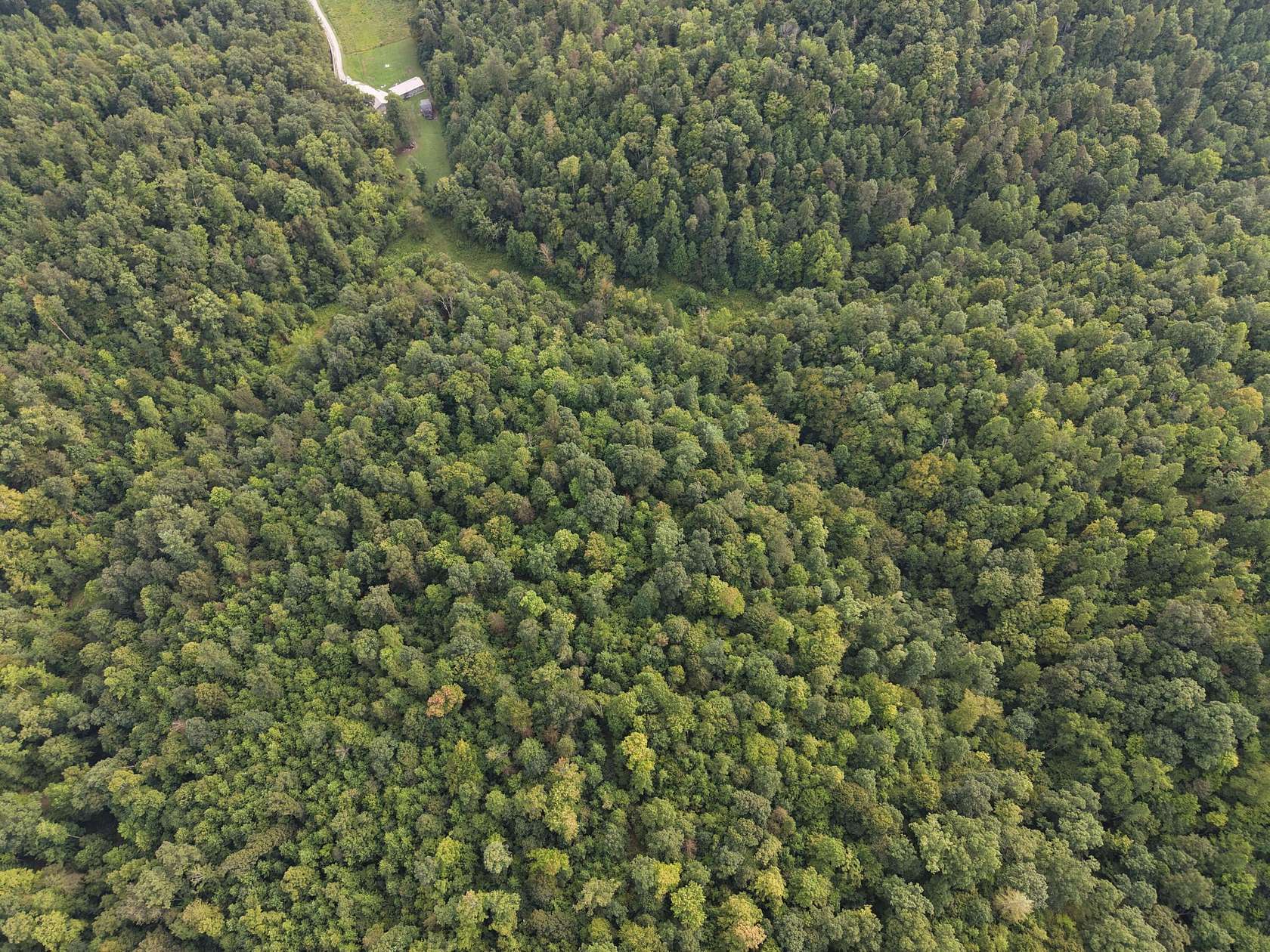 303 Acres of Recreational & Residential Land for Sale in Frenchburg, Kentucky