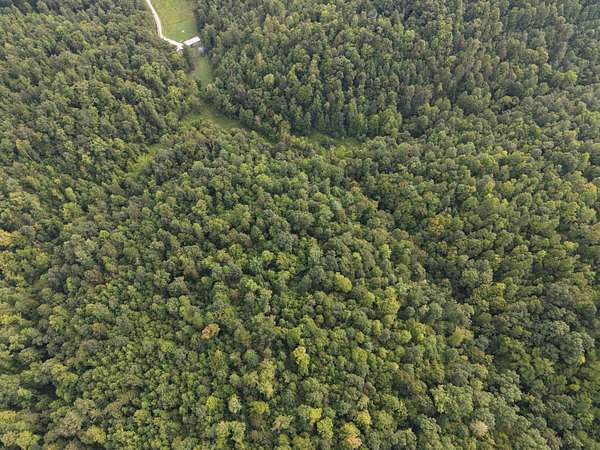 303 Acres of Recreational & Residential Land for Sale in Frenchburg, Kentucky