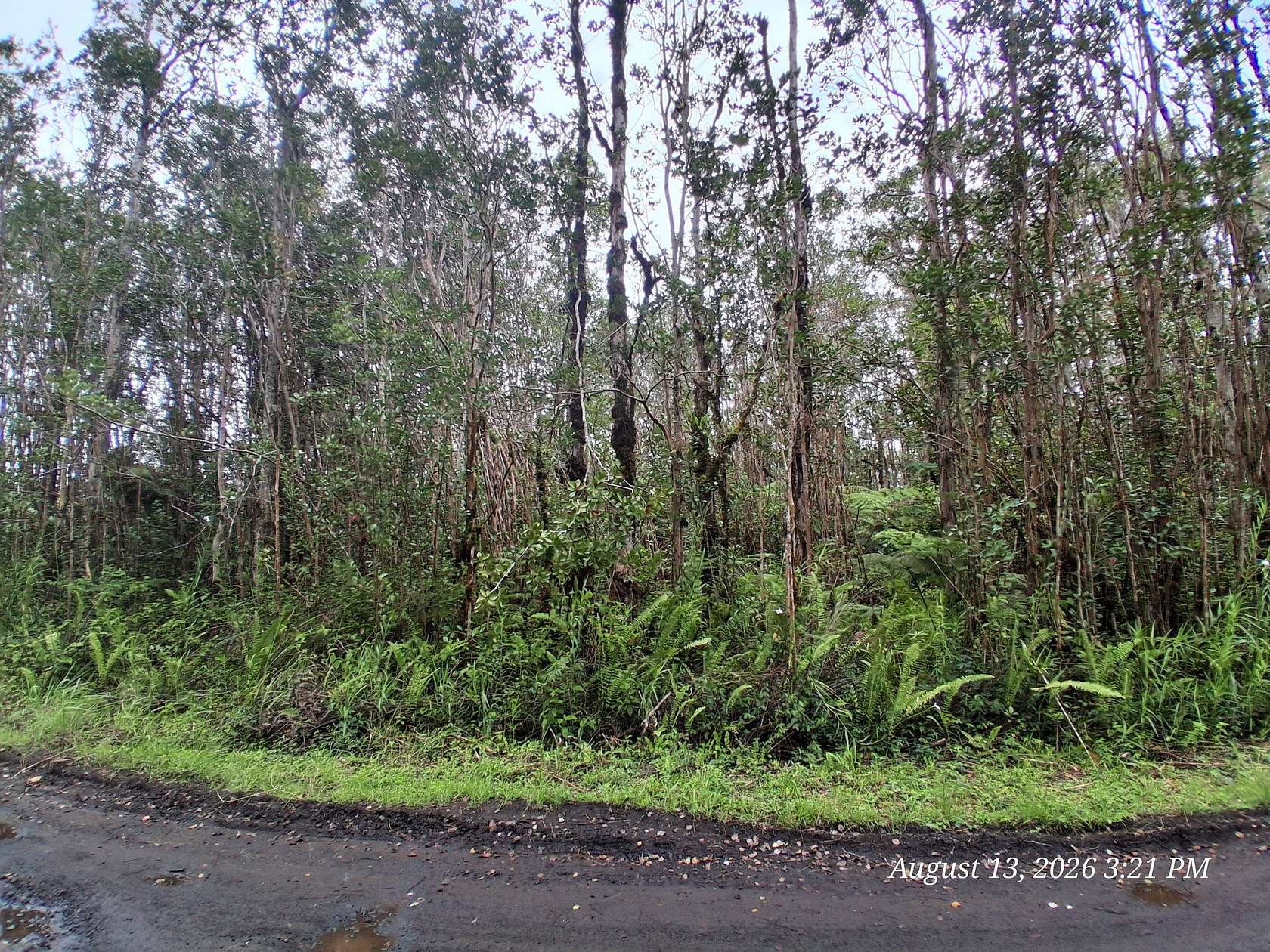 1 Acre of Residential Land for Sale in Mountain View, Hawaii